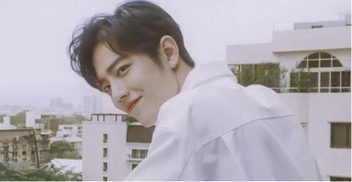 肖战表弟爆料视频,背后惊人真相曝光