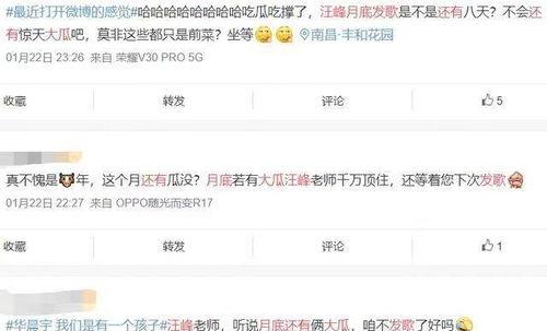 431页娱乐圈爆料,揭秘明星背后的真实故事